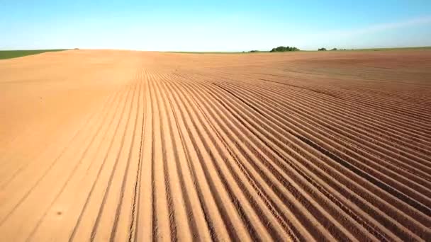 Paesaggio Agricolo Seminativo Campo Patate Dopo Semina Meccanizzata Campo Asparagi — Video Stock