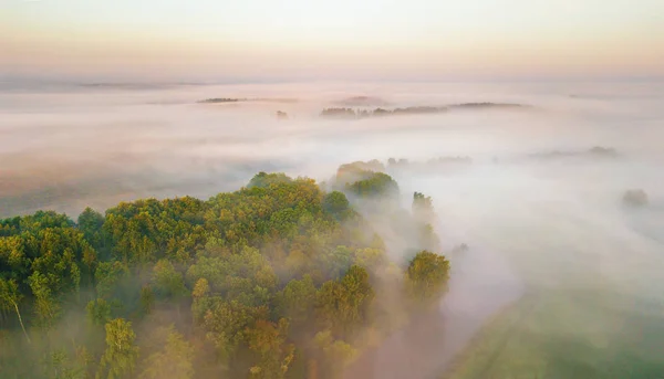 Morgennebel über Fluss, Wiese und Wald. erstaunliche Natur sonnig — Stockfoto