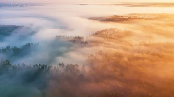 Morgennebel über Wäldern. Sommer Natur Landschaft Luftaufnahme — Stockfoto