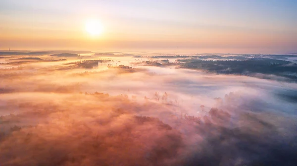Summer sunrise and morning fog over woodland aerial panorama — Stock Photo, Image
