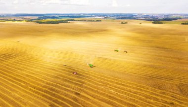 Hasat makinesi tarlada çalışıyor. Hasat makinesi agricultur birleştirin