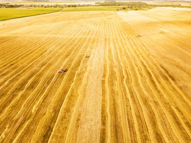 Hasat makinesi tarlada çalışıyor. Hasat makinesi agricultur birleştirin