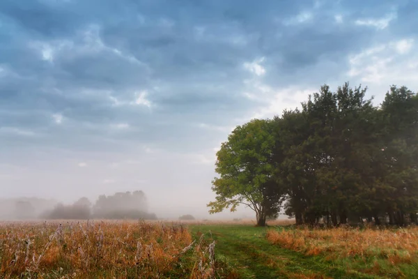 Bedeckter nebliger Himmel. bewölkt Herbst neblig Morgen. — Stockfoto