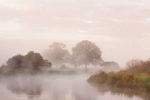 Misty manhã de outono no rio. Carvalhos solitários no prado — Fotografia de Stock