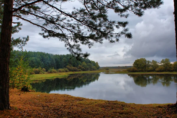 Odbicie jesiennych drzew na brzegu rzeki. Nastrojowe niebo — Zdjęcie stockowe