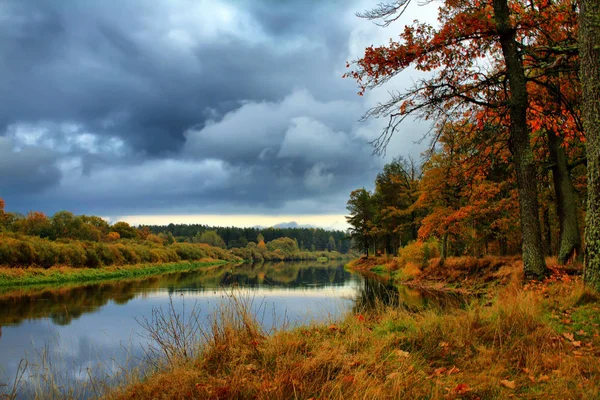 Alberi autunnali arancioni sulla riva del fiume. Paesaggio d'autunno dorato — Foto Stock