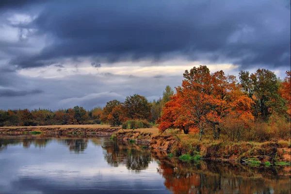 Pomarańczowe jesienne drzewa na brzegu rzeki. Złoty jesienny krajobraz — Zdjęcie stockowe