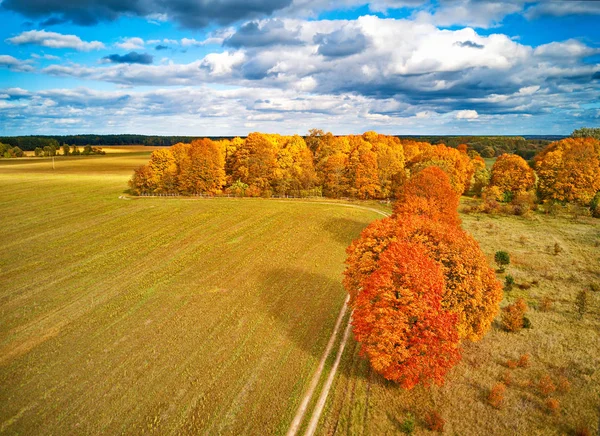 Park with red maples trees, agriculture field and dirt country r — Stock Photo, Image