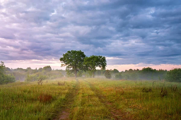 Summer Misty Sunrise Meadow Country Road Green Fields Two Large — Stock Photo, Image