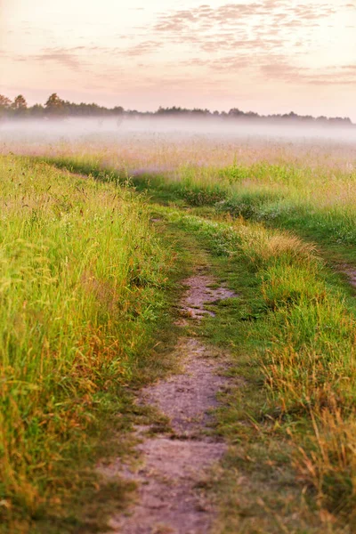 Dirt Road Wild Meadow Morning Fog Rural Summer Landscape Sunrise — Stock Photo, Image