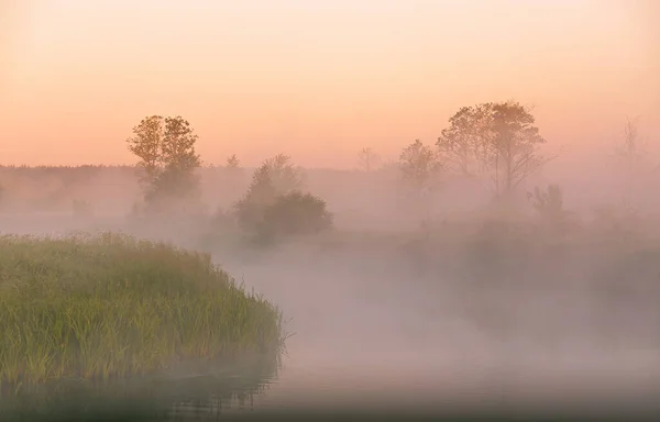 Prachtige Zomer Zonsopgang Landelijk Landschap Ochtendmist Rivier Bomen Mistige Reflectie Stockfoto