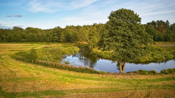 Sunny September day. Autumn landscape in evening sunlight from above. Summer background with alder tree on riverbank. Agriculture fields after harvest, Belarus