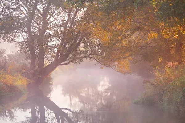 Jesienny Wschód Słońca Wiejski Krajobraz Mgła Rzece Październik Jesień Spokojny — Zdjęcie stockowe