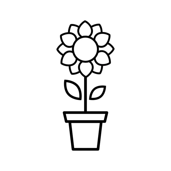 Vektorbild Eines Niedlichen Sonnenblumen Vektorumrisses Einem Topf — Stockvektor