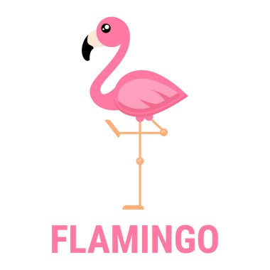 Metin ile bir çizgi film flamingo vektör vektör görüntü