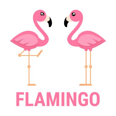 Metin ile bir çizgi film flamingo erkek ve kız vektör vektör görüntü