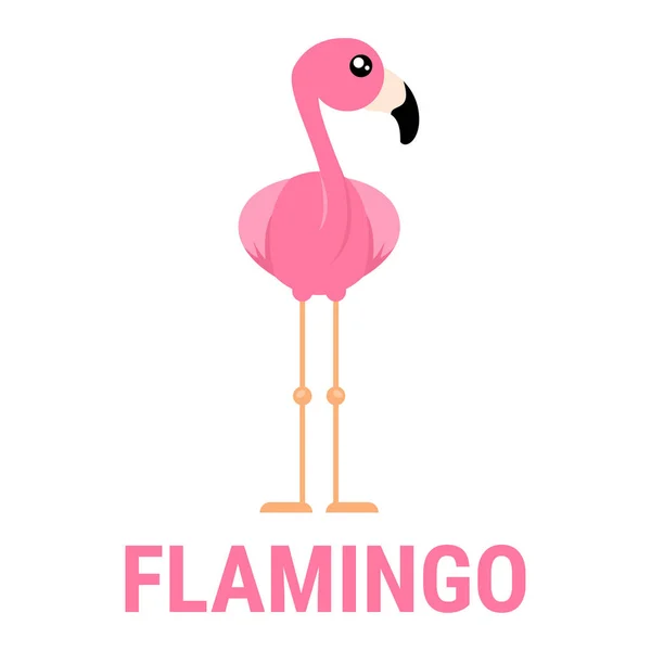 Imagen Vectorial Del Lindo Flamenco Dibujos Animados Del Vector Frontal — Vector de stock