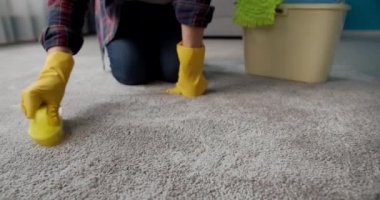 Housewife in rubber gloves cleaning carpet with brush