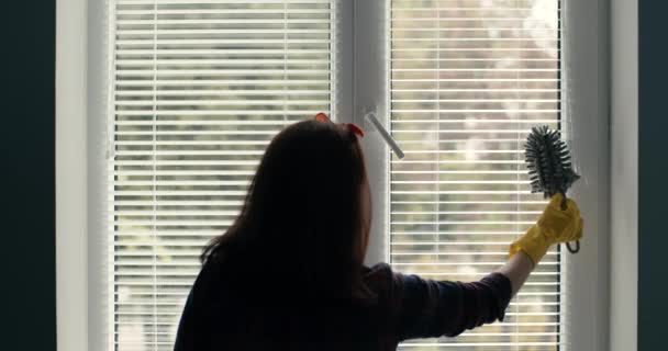 Вид ззаду домогосподарки в гумових рукавичках, що протирають віконні жалюзі — стокове відео