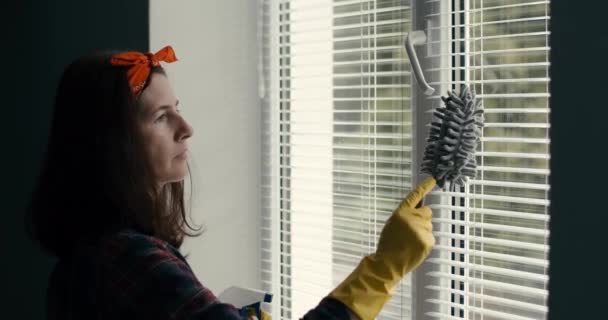 Πλευρική άποψη της νοικοκυράς καθαρισμού παράθυρο jalousie με βούρτσα — Αρχείο Βίντεο