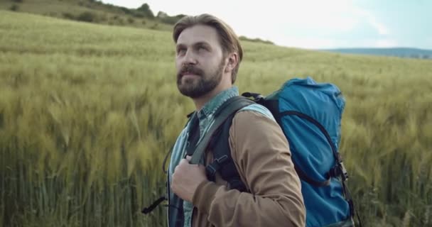 Gelukkig baard man wandelen op groen veld met grote rugzak — Stockvideo