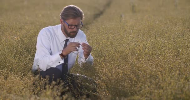 若い収穫の質を管理する成熟した実業家 — ストック動画