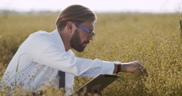 Agricultor profissional usando tablet digital no campo verde — Vídeo de Stock