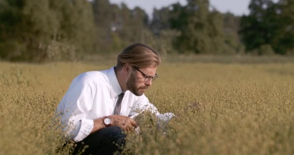 Zakenman met behulp van digitale tablet tijdens het onderzoek van planten — Stockvideo