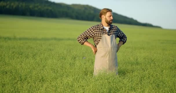 Bevoegde landbouwer die de kwaliteit en de ontwikkeling van planten analyseert — Stockvideo