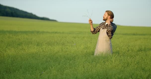 Homem barbudo inspecionando a qualidade da colheita ao ar livre — Vídeo de Stock