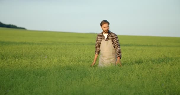 Agrônomo profissional examinando plantas no campo verde — Vídeo de Stock