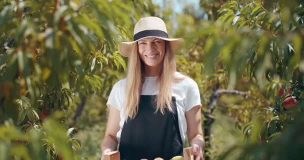 快乐的女人带着成熟的桃子出现在相机的板条箱上 — 图库视频影像