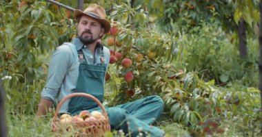 Şapkalı ve tulumlu sakallı adam şeftali bahçesinde dinleniyor.