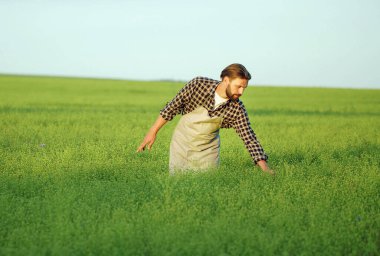 Çiftçi mahsul büyümesini denetliyor