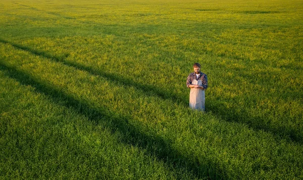 Технік, що стоїть у зеленому полі — стокове фото