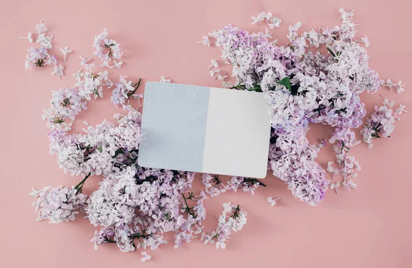 Flat Lay Cartão Postal Com Flores Lilás Sobre Fundo Rosa — Fotografia de Stock