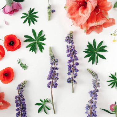 Çiçek desenli yapılmış çiçekler, gelincik, nergis zambağı, peonies beyaz arka planda, üstten görünüm. Çiçek deseni