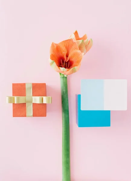 Diseño Creativo Hecho Flor Amarilis Con Cajas Regalo Rojas Azules — Foto de Stock