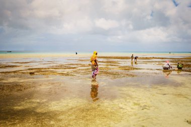 Deniz ürünleri, Zanzibar, Tanzanya, Afrika toplama geleneksel Afrika giysili yerel halk ile okyanus güzel manzara