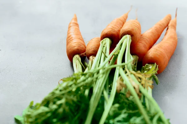 Taze havuç grup gri arka plan üzerinde Kapat