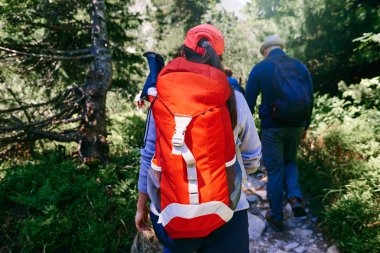 Turist yoğun orman yürüyüş sırt çantaları ile Grup