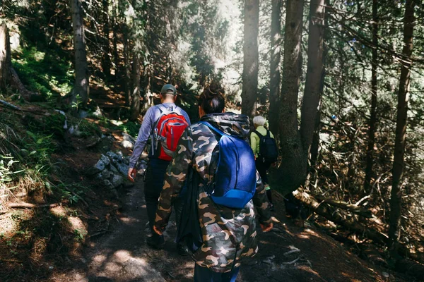 Turist yoğun orman yürüyüş sırt çantaları ile Grup