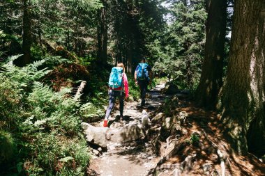 Çift seyahat etmek sırt çantaları ve yoğun ormanda yürüyen küçük köpek ile