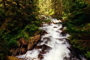Slovakya güzel dağ nehirde gündüz