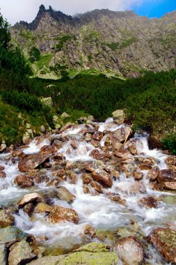 Slovakya güzel dağ nehirde gündüz