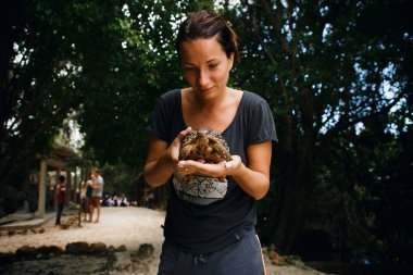 Küçük kaplumbağa elinde tutan genç kadın gezgin