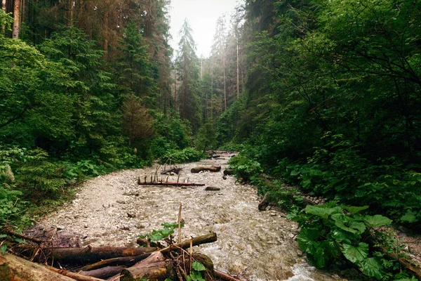 Krajina Horská Řeka Kaňonu Bela Sucha Slovensko — Stock fotografie