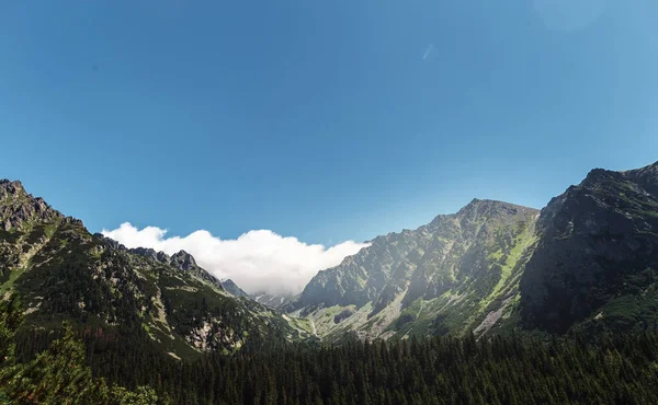 Güzel dağ panoramik manzara. Yüksek tatras dağlar Slovakya
