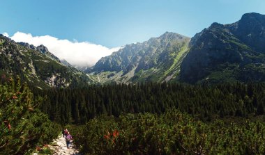 Güzel dağ manzarası ile seyahat etmek. Yüksek tatras dağlar Slovakya