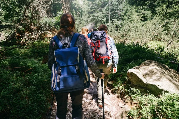 旅行和背包生活的概念 小组旅行者与背包徒步旅行在森林里 — 图库照片